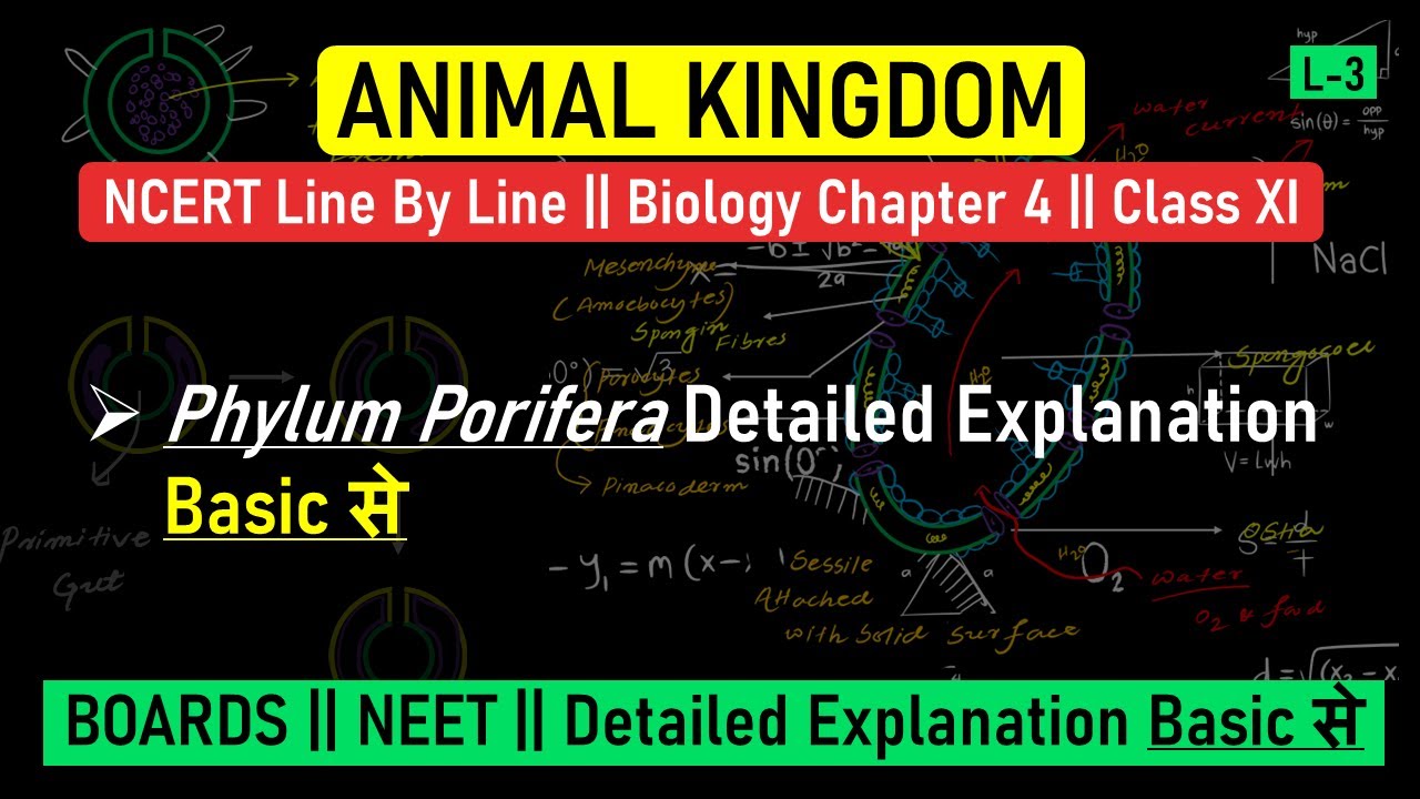 Animal Kingdom L-3 NCERT Line by Line Series Biology #NEET || Ch-4 ...