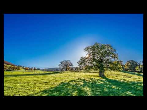 Feng Yu Lian 风雨恋 karaoke no vocal