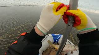 : ,   -  ,   . # #fishing #
