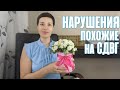 СДВГ или нет? | Какие нарушения похожи на синдром дефицита внимания?