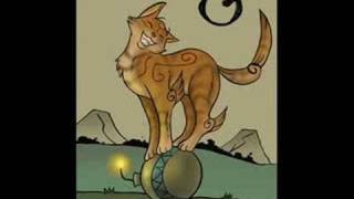 squirrelpaw's party -pump it