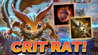 Crit Dash Ratatoskr Still Slaps!