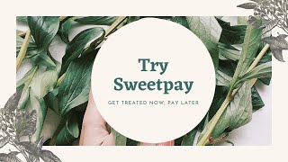 SweetPay Direct to Consumer Loans SweetPay Direct to Consumer Loans