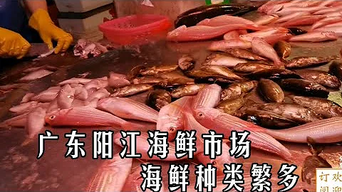 广东阳江海鲜市场逛街 海鲜种类比厦门多 花不到100能买多少 客家话 市场 海鲜 