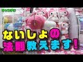 【UFOキャッチャー】 ないしょの法則教えます！【確率機でぬいぐるみＧＥＴ】