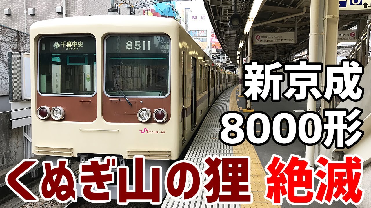 たぬきんぐ Tnaka🥳🌈Tnakaテクノ音頭発売中！ on X: 