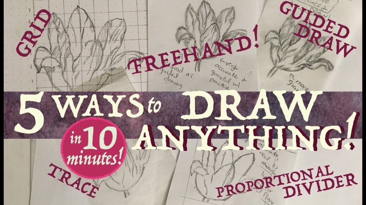 How to use a Proportional Divider to help Freehand Drawing (+ compare  Accurasee vs Alvin) 