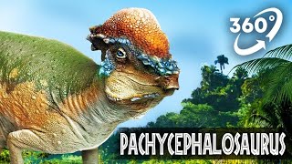 Vr Jurassic Encyclopedia - Pachycephalosaurus Dinosaur Facts 360 Education