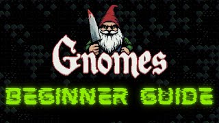 Beginner Guide - Gnomes