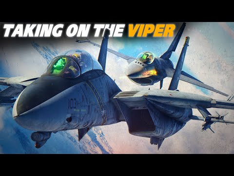 Taking On The Dogfighting Monster | F-14B Tomcat Vs F-16C Viper Dogfight | Digital Combat Simulator