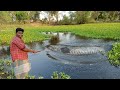 தூண்டிலில் பிடித்த விரால் மீன்|Murrel Fish Hunting|Fishing Hook Hunting|Village Food Safari