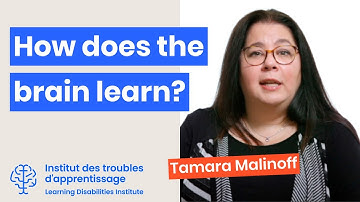 How does the brain learn? - Learning Disabilities Institute