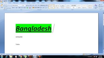 Format Painter MS Word 2007