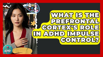 What Is The Prefrontal Cortex