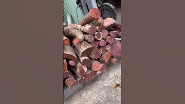 GL lô rễ trắc đỏ đen, trắc dây, cẩm 100kg ạ bác nào vào vc lh033.891.8991