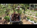 Retos de la agricultura en San Andrés - La Finca de Hoy