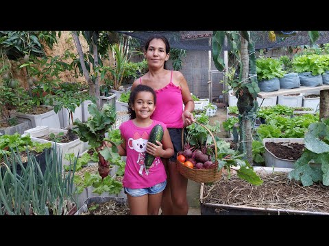 Vídeo: Cultivando Beterrabas Doces - Aprenda a Cultivar Beterrabas Doces no Jardim