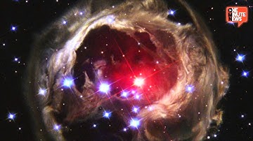 Have You Seen Hubble