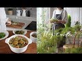 Vlog/ 고단한 하루를 위로하는 우리집 식탁 풍경/ 건강한 요리를 위한 나의 선택/살림 이야기/feat.카일 냄비