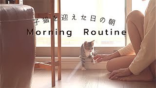 子猫を迎えた日の朝/morning routine/保護猫/兄妹