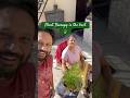 Songs&amp;Gardening Therapy🪴Mast Hai☺️#gardening #nature #therapy #music #hindisong #fracture #shorts