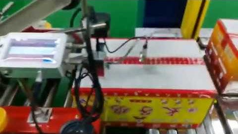 Inkjet Date Printer for Carton Box. Online Automatic Batch Coding Printing Machine.