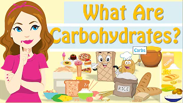 Top 8 sacharidů ve stravě a v potravinách?