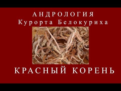 Чем поможет красный корень