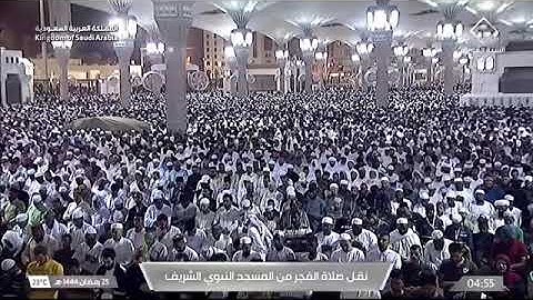 سورة هود ٦ - ١٦ ' الشيخ #عبدالباري_الثبيتي صلاة الفجر ٢٥-٩-١٤٤٤ هـ