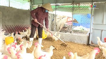 Ứng dụng công nghệ sinh học trong xử lý chất thải chăn nuôi