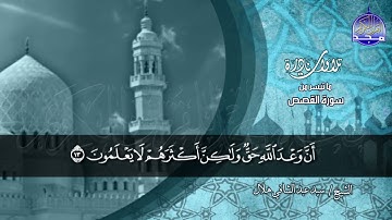 ما تيسر من سورة القصص🌱 للقارئ / سيد عبدالشافي هلال 🌱 من نوادر المجد HD