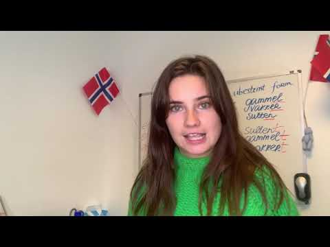 Изучаем норвежский язык: Прилагательное в неопределенной форме