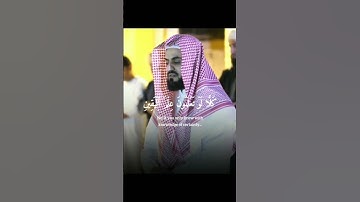 سورة التكاثر رعد الكردي #تلاوة جدا جميلة#surah thakasur raad alkurdi