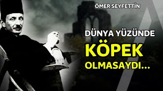 Dünya Yüzünde Köpek Olmasaydı... I Ömer Seyfettin Özlü Sözleri - Etkileyici Sözler - Alıntılar