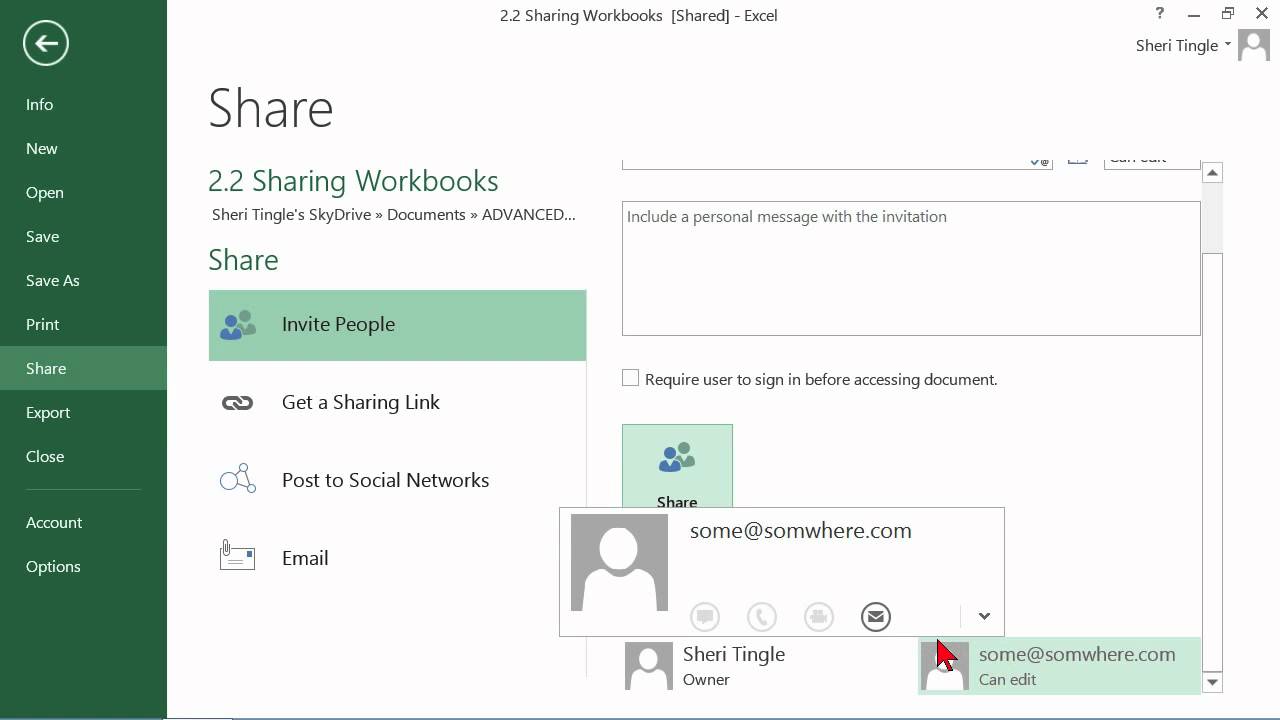 office 2007 excel shared workbook