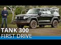 GWM Tank 300 2021 Review @carsales.com.au