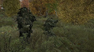 DayZ Standalone Sweet Tips: 2. The best location to find nettings.