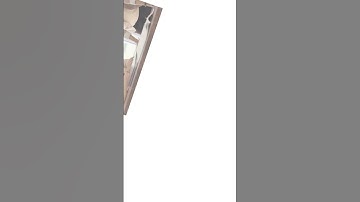 Conflict Resolution for New Leaders: Key Strategies Explained