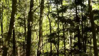 Monte Serramle .- Discesa Dalla Valle Scura -