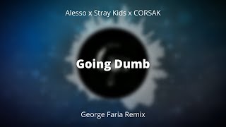 Alesso X Stray Kids X Corsak  Going Dumb george Faria Remix