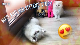 Mati and her kittens story. Part 33^:^ by Zen Tavra 118,719 views 3 years ago 2 minutes, 49 seconds