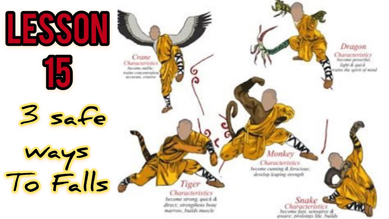 how to fall correctly in a fight / training kung fu at home lesson 15 ...