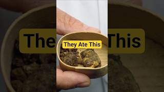 The TRUTH About Mummies &amp; Europeans Between the 12th-18th Centuries