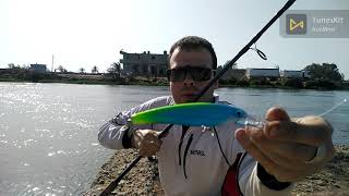 صيد بياض كاستنج من ترعة السلام Fishing : Bagrus bajad (Bayad, Black Nile Catfish