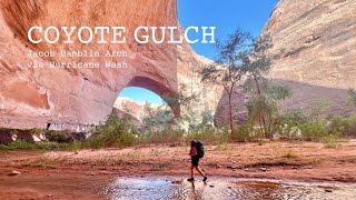 Coyote Gulch from Hurricane Wash to Jacob Hamblin Arch | Escalante Utah 2024