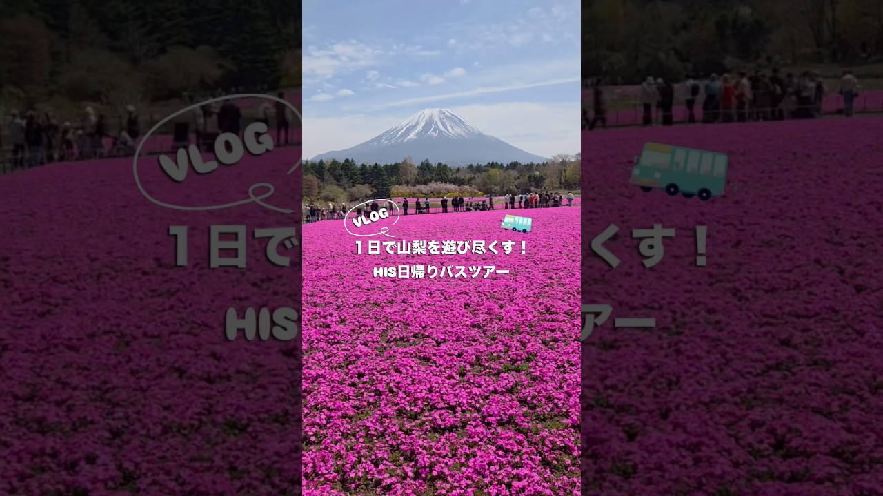 芝桜も、浜焼きも、いちごも。これ、日帰り。