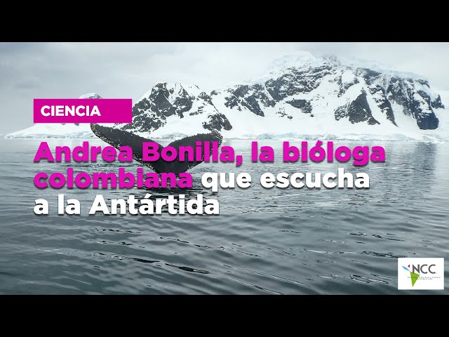 Andrea Bonilla, la bióloga colombiana que escucha a la Antártida
