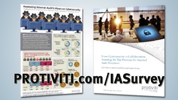Protiviti - Internal Audit Capabilities & Needs Survey