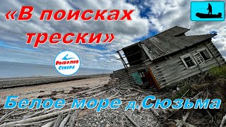 ✅ «В ПОИСКАХ ТРЕСКИ» Белое море 2022  🎣🐟🐟🐟 мыс Малинник д.Сюзьма #рыболов_севера