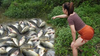 Unique Fishing - Using pumps, pumping water outside the natural lake, Harvesting a lot of big fish